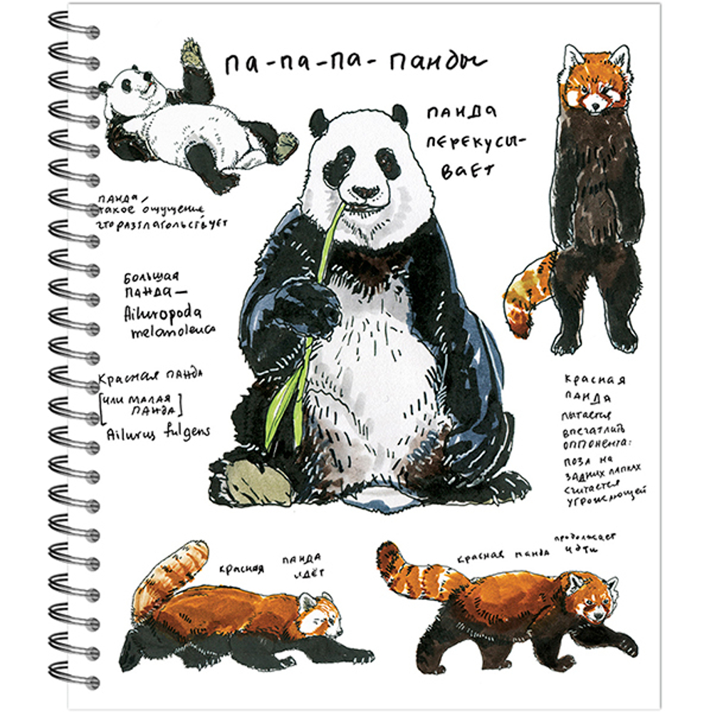 НОВИНКА! Тетрадь общая 96 листов на спирали "Зарисовки. Дикая природа"