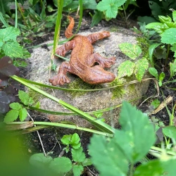 Фигурка садовая Ящерица, ржавый декор для сада, 1 шт.