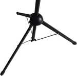 Экран  Cactus CS-PSTX-100X177