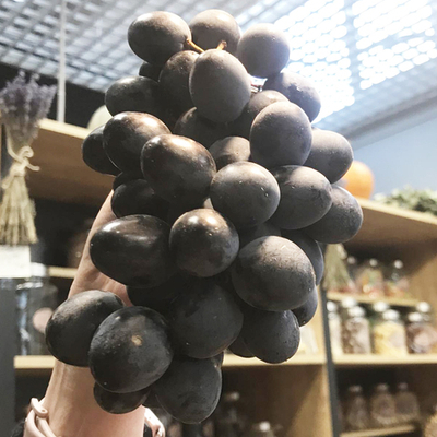 Виноград чёрный