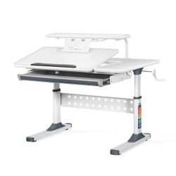 Письменный стол для школьников Ergokids Aspen с полкой S-50