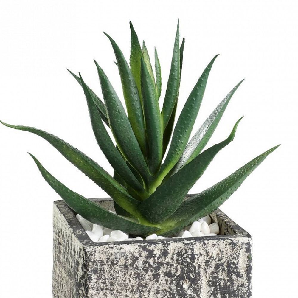 Растение в горшке Eglo Chitose 428008