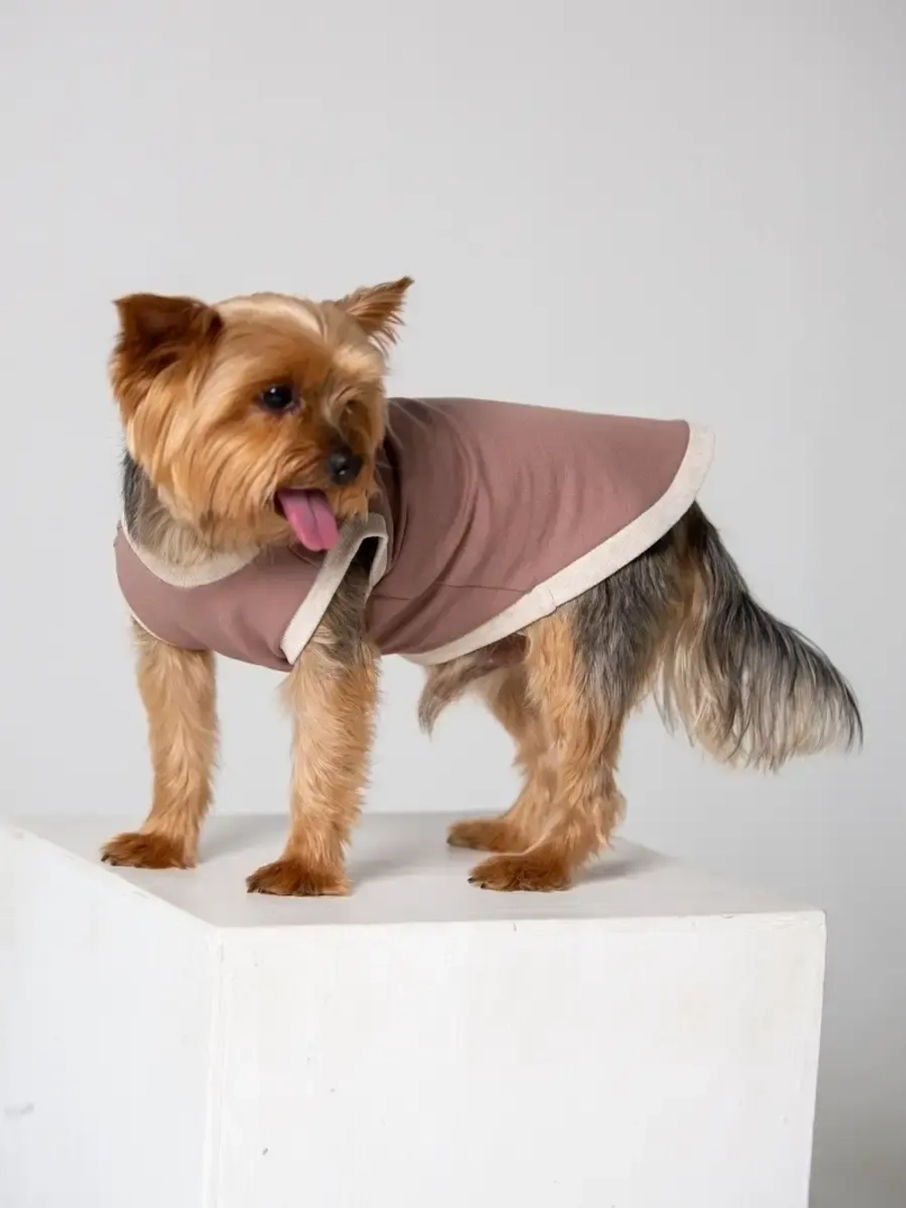 Майка для собак и кошек