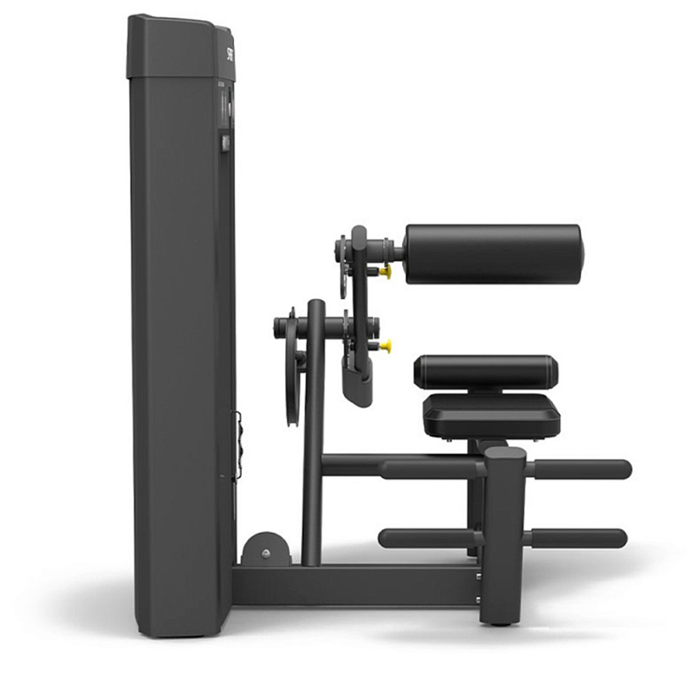 Разгибание спины Spirit SP-4310