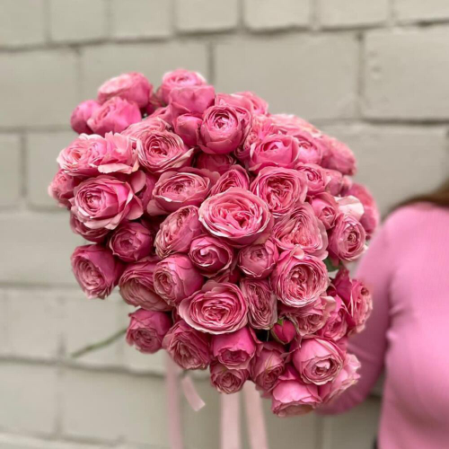 Пионовидная кустовая роза Сильва Пинк. Цветы поштучно 003 Chalet Green