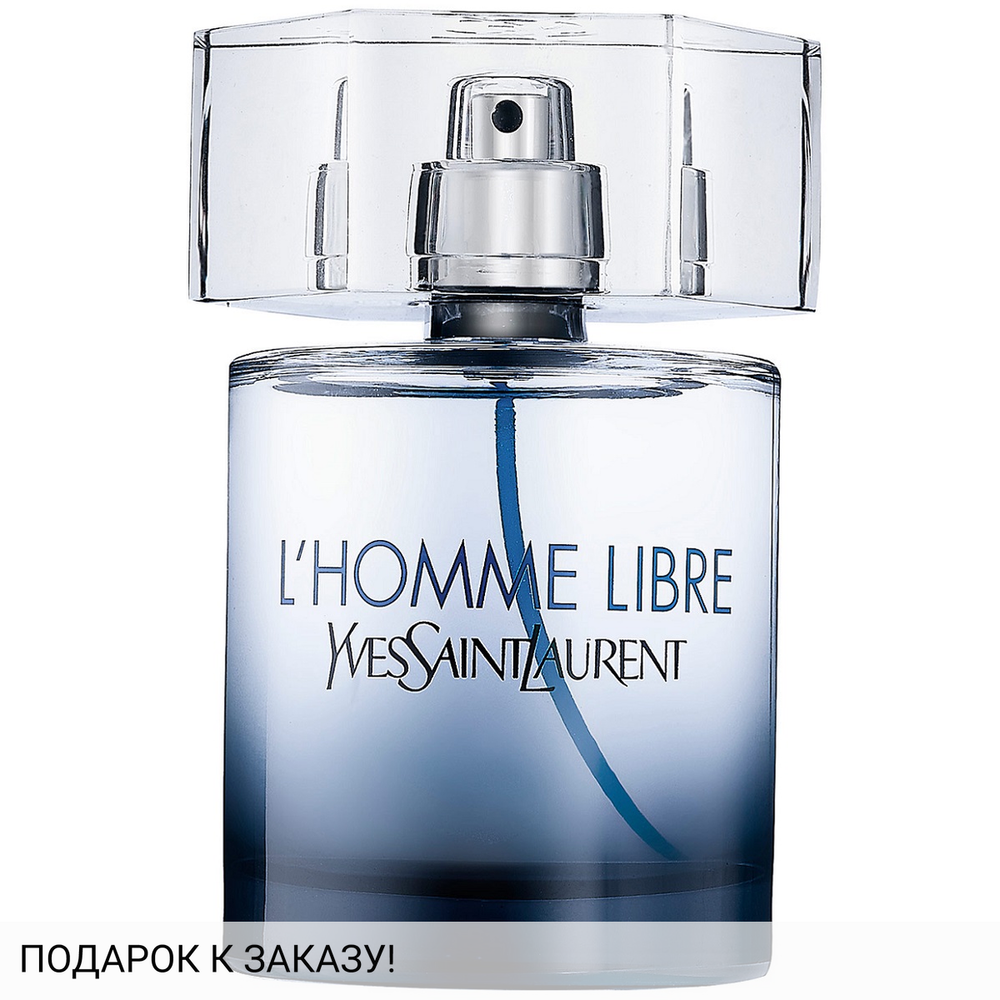 Yves Saint Laurent L'Homme Libre