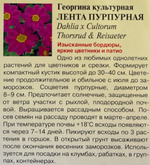 Георгина Лента пурпурная 0,2 г СМЦ-268