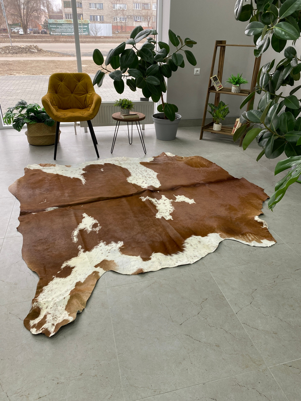 Коровья шкура на пол натуральная. 200 х 190 см