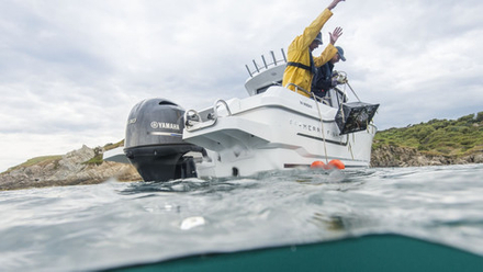 Лодочный мотор Yamaha F130AETX