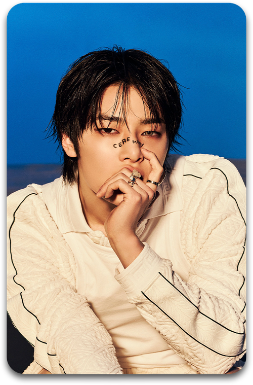 Карта / STRAY KIDS #4236