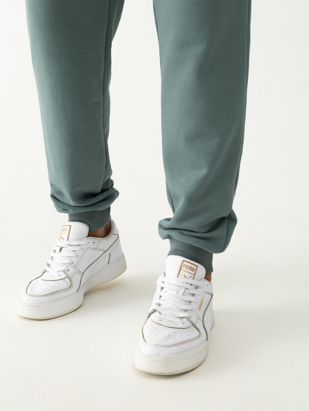 Костюм мужской спортивный (без начеса). Полынь