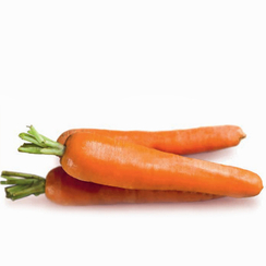Карибоу F1 семена моркови нантской (Seminis / Семинис)