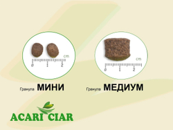 Гранулы