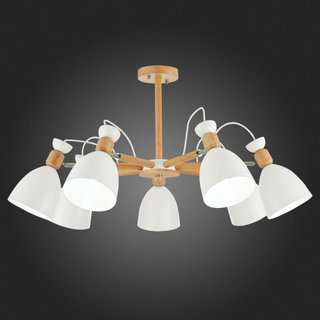 Светильник потолочный Evoluce Balcamo SLE103802-07