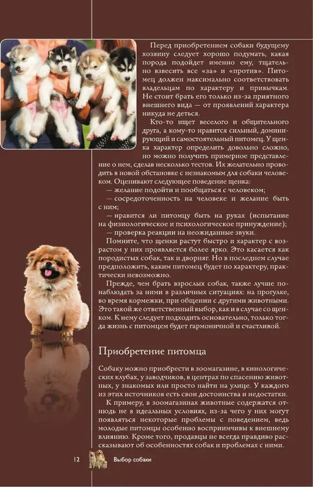 Собаки. Популярный иллюстрированный гид