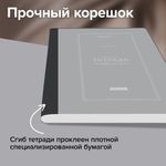 Тетрадь А5 96л. BRAUBERG на сшивке с корешком, клетка, обложка картон, Classic, 405291