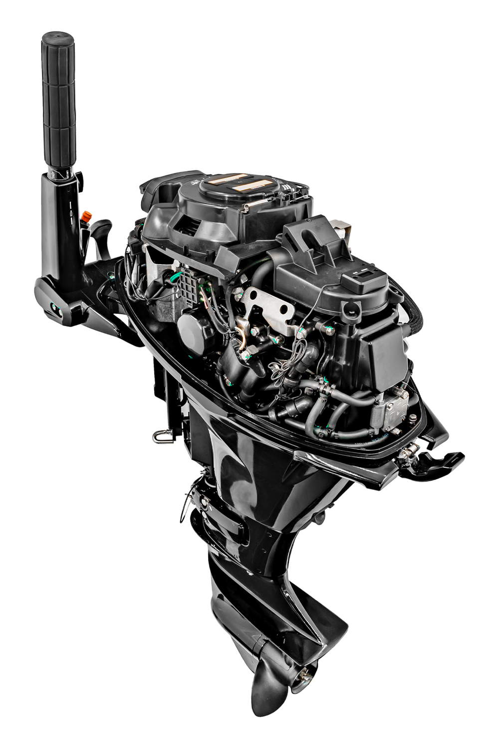 Лодочный мотор Риф Райдер Reef Rider RRF9.9HS PRO 362 сс