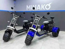 Электроскутер Minako Rex электрический