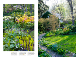 The Layered Garden