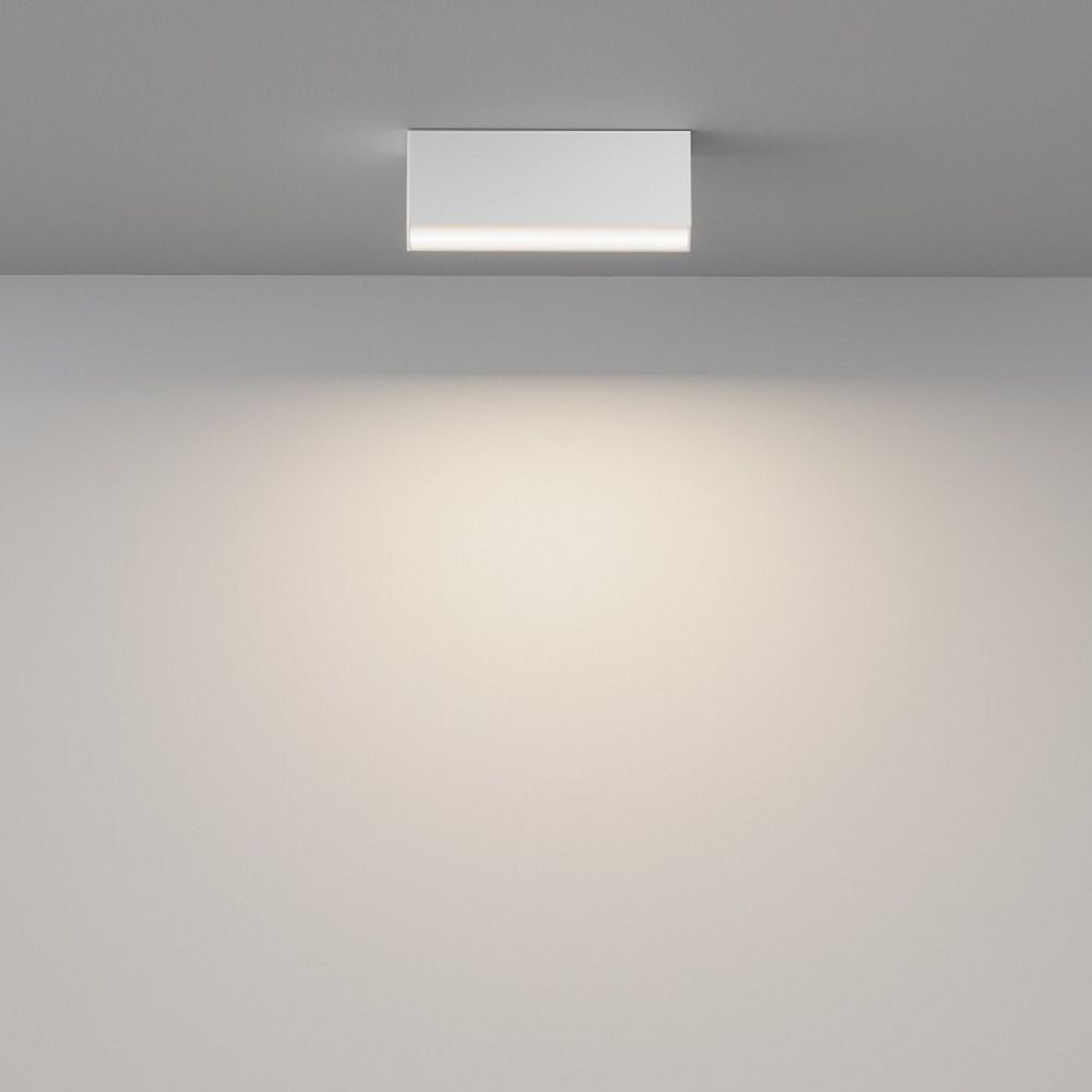 Накладной светильник Maytoni Basis C068CL-12W3-6K-W