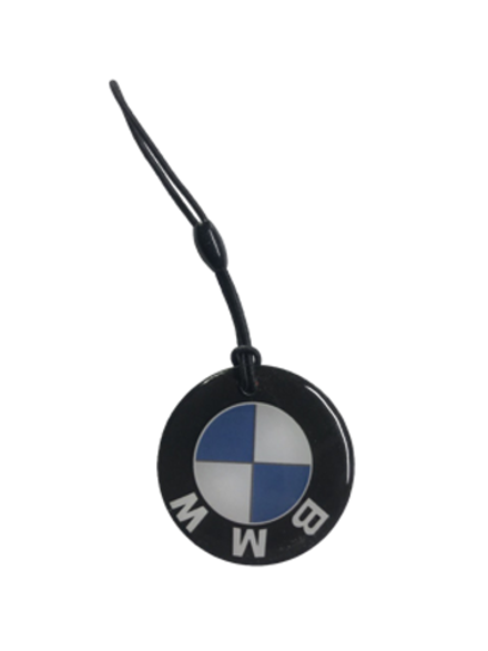 Заготовка домофонная EPOXY чип Н5.5 BMW (на резинке)