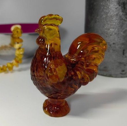 Петух гладкий