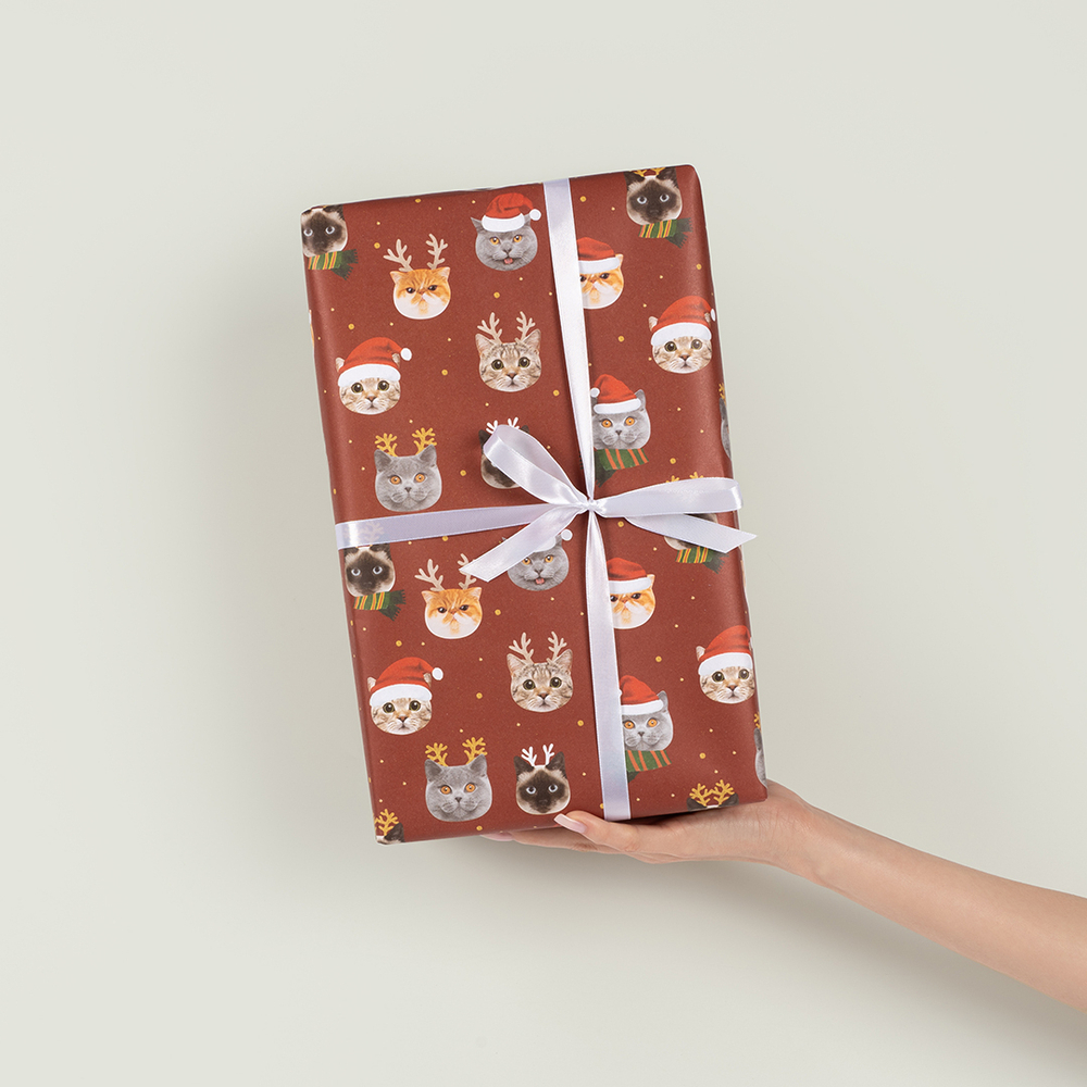 Упаковочная бумага «Новогодние котики» 0,7×1 м, 80 г/м²