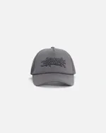 Кепка Anteater Trucker серая
