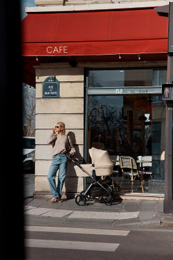 Детская коляска Anex iQ Premium NT 2 в 1 iQ-13-DNA seal