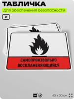 Табличка для обеспечения безопасности "Самопроизвольно воспламеняющийся", для производства, предприятия, организаций, 40х30 см, Silver Plane x Айдентика Технолоджи