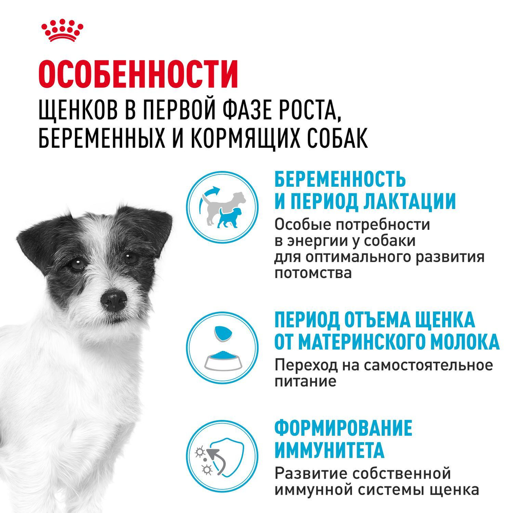 Royal Canin Mini Starter Корм сухой для собак мелких пород в конце беременности в период лактации для щенков в период отъема до 2-х месяцев 3 кг