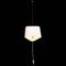 Подвесной светильник ST Luce Ambrela SL1110.513.01