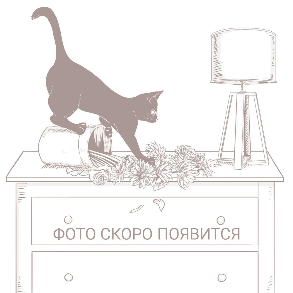 Стол журнальный «Тунис» П6.343.0.10 (П343.10Ш)