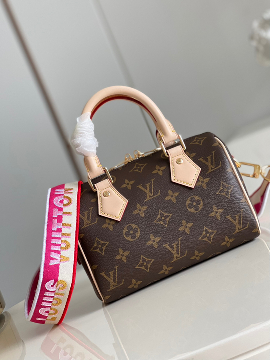 Louis Vuitton Speedy 20