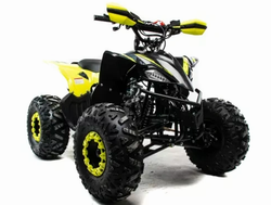 Квадроцикл MOTOLAND (МОТОЛЕНД) 125 RAPTOR A