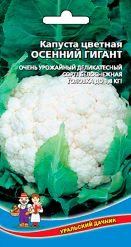 Капуста цв. Осенний гигант Уральский дачник
