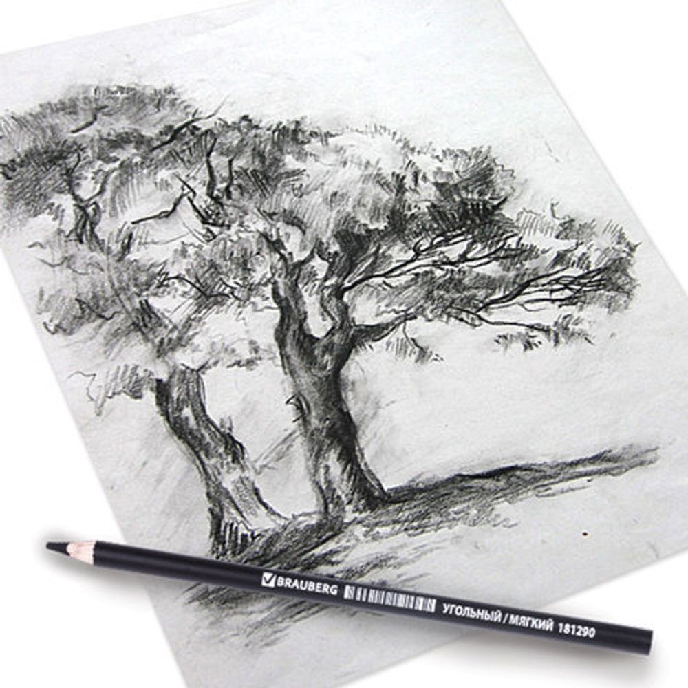 Карандаш угольный BRAUBERG ART CLASSIC, 1 шт., МЯГКИЙ, круглый, корпус черный, заточенный,181290