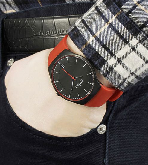 Наручные часы Skagen SKW6073