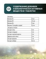 Vita+ мультивитаминное лакомство для собак Свежее дыхание, 90 таблеток