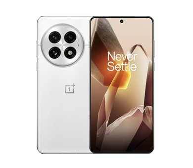 OnePlus 13 16/512Gb Arctic Dawn IN