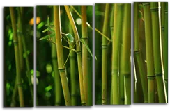 Модульная картина "Бамбук"