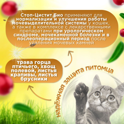 Кормовая добавка для нормализации и улучшения мочевыделительной системы и профилактики цестита, суспензия для кошек Стоп-цистит БИО (Apicenna), 30мл