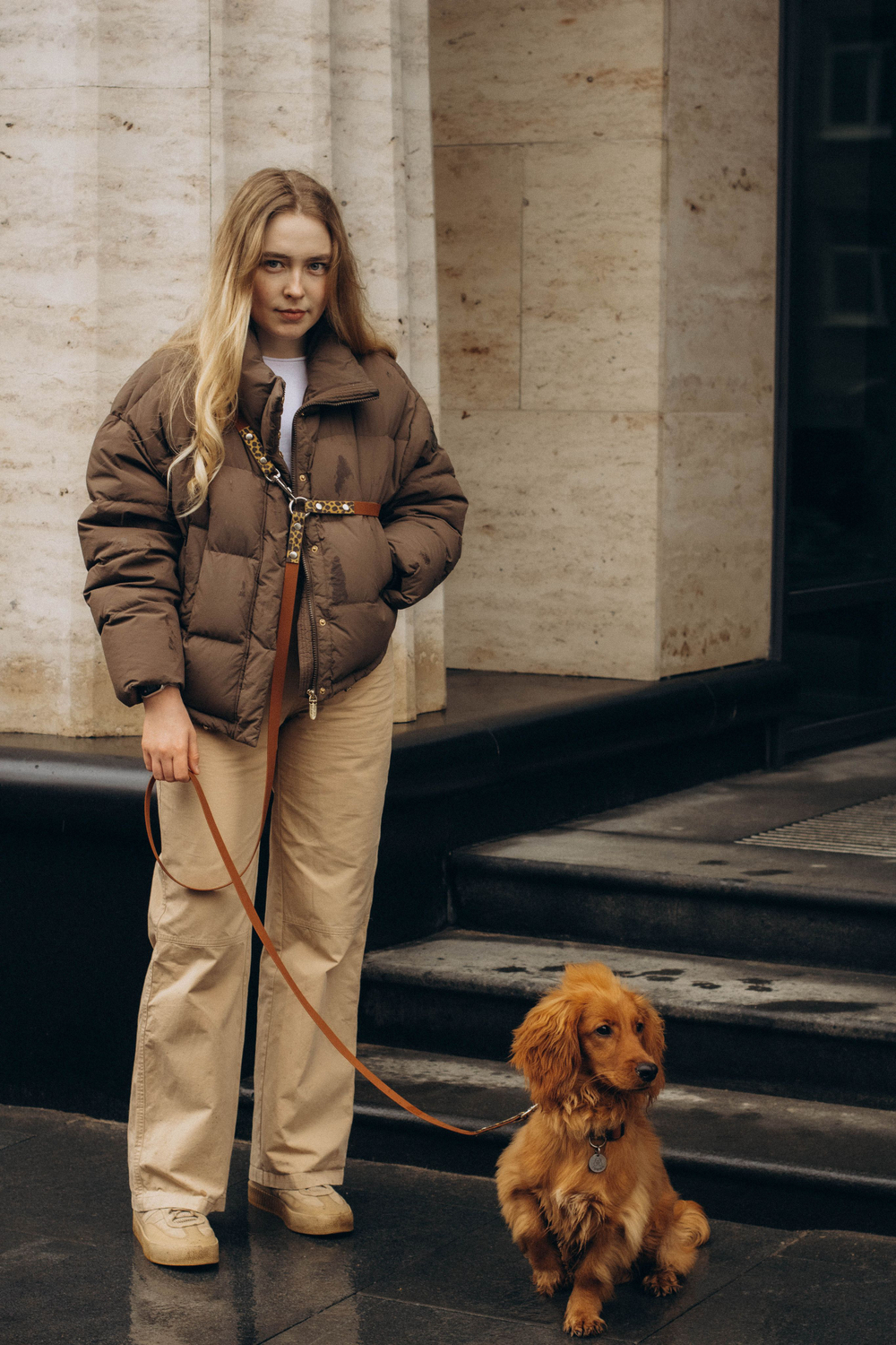 Перестежка поводок для собак 20 мм , 5 м коричневый и леопард