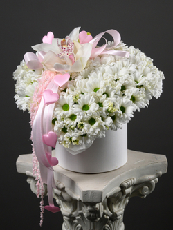 Моя Нежность