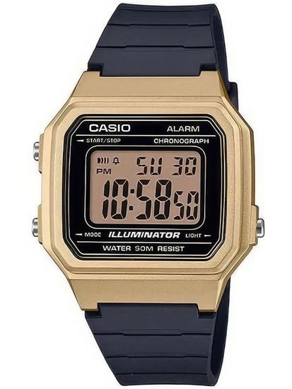 Наручные часы Casio W-217HM-9AVDF