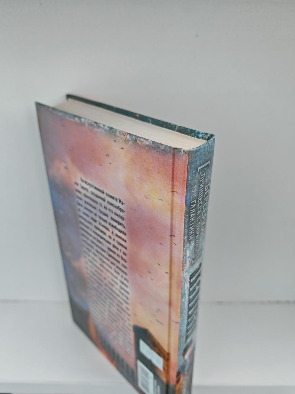 Берсерки. Принцесса с окраины галактики