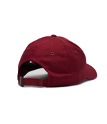 Кепка Tommy Hilfiger - бордовый(AM0AM12541)