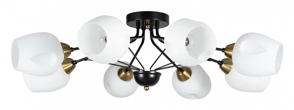 Накладная люстра Arte Lamp A2706PL-8CK