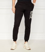 Спортивные штаны EA7 - черный(6DPP87 PJVRZ)