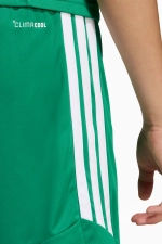 Шорты adidas Tiro 26 League Junior - зеленый